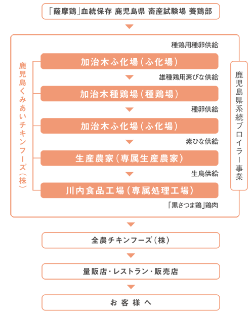 薩摩鶏
